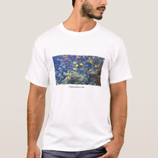 T-shirt Aquatics de JC
