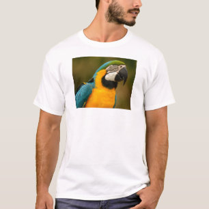 T-shirt ara