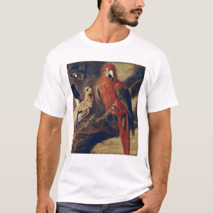 T-shirt Ara et bouvreuil