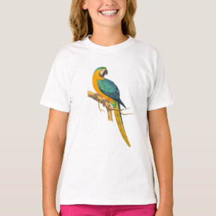 T-shirt Ara oiseau