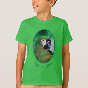 T-shirt Ara sévère perroquet gros plan personnalisé
