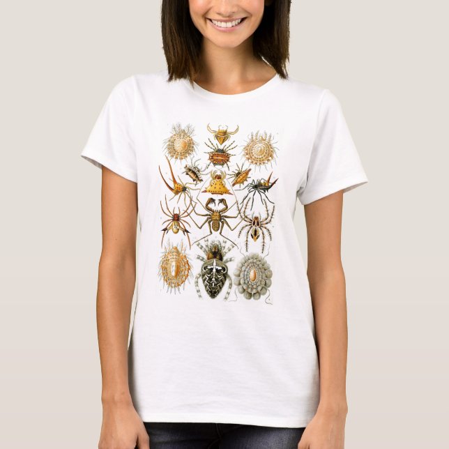 T-shirt Arachnida (Araignées), Ernst Haeckel Art (Devant)