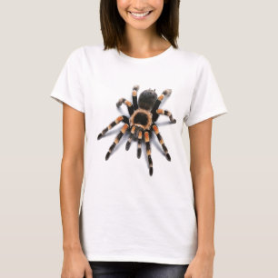 T-SHIRT ARAIGNÉE DE TARENTULE