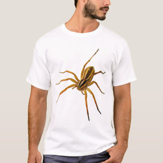 T-shirt Araignée loup enragée (Rabidosa rabida)