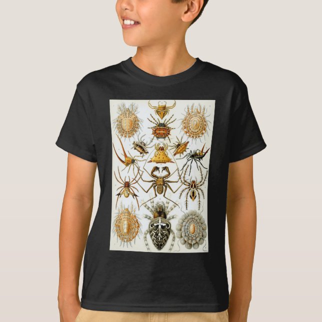T-shirt Araignées des arachnides d'Ernst Haeckel (Devant)