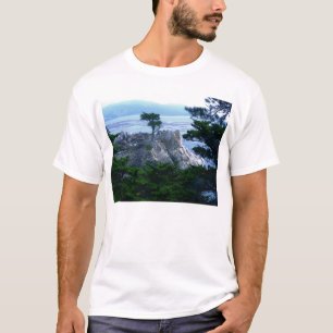 T-shirt Arbre de Monterey