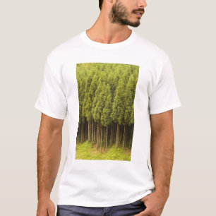 T-shirt Arbres de cèdre de Koya Sugi