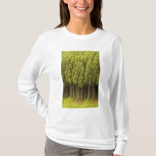 T-shirt Arbres de cèdre de Koya Sugi