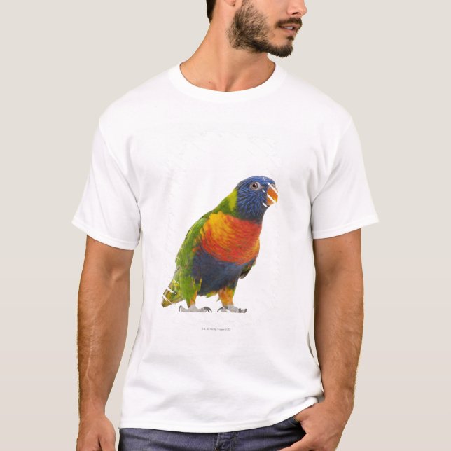 T-shirt Arc-en-ciel femelle Lorikeet - Trichoglossus (Devant)