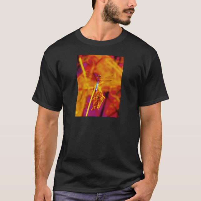 T-shirt Arc-en-ciel libellule sur ambre et fuschie (Devant)