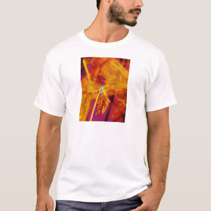 T-shirt Arc-en-ciel libellule sur ambre et fuschie