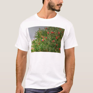T-SHIRT ARC-EN-CIEL LORIKEET QUEENSLAND RURAL AUSTRALIE