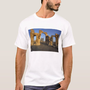 T-shirt Arc monumental, Palmyre, Homs, Syrie