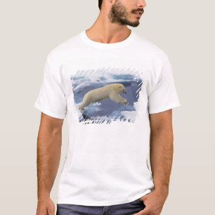 T-shirt Arctique, Svalbard, Ours polaire s'étendant