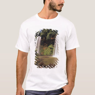 T-shirt Argentine, Igwazu, chutes d'Igwazu. Salto Dos