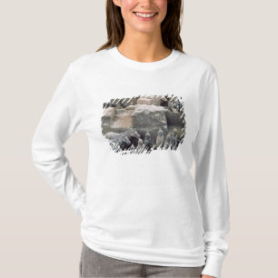 T-shirt Armée de terre cuite, dynastie de Qin, 210 AVANT
