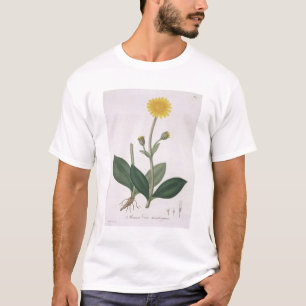 T-shirt Arnica Montana de "Phytographie Medicale" par Jos