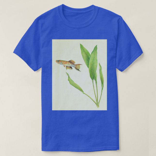 T-shirt Arnoldi killifishFundulopanchax arnoldi (Design devant)