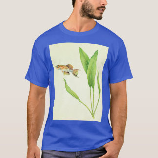 T-shirt Arnoldi killifishFundulopanchax arnoldi