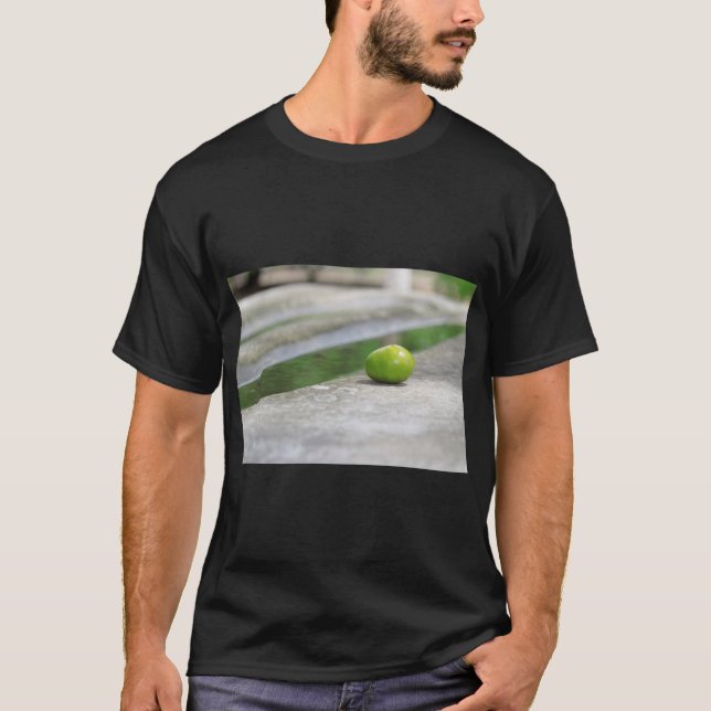 T-shirt Art Fruit Imprimer Photo Tee (Devant)
