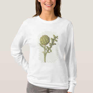 T-shirt Artichaut : Scolymus de Cynara, c.1568