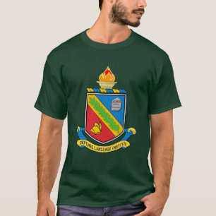 T-SHIRT ASA DLI 1
