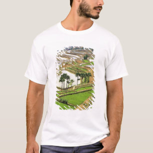 T-shirt Asie, Chine, Yunnan, Honghe.  Terrasses de riz à p