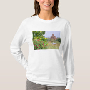 T-shirt Asie, Myanmar (Birmanie), Bagan (Pagan). Vaches
