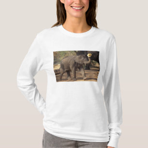 T-shirt Asie, Thaïlande, Lampang S'inclinant avec chapeau