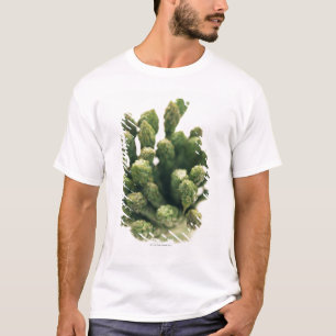 T-shirt Asperge verte