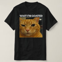 Attends je suis le Chat Emouvant Mème de Chat Drôl