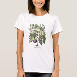 T-shirt Aubergine : Melanzana fructu pallido, from the 'Ho