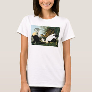 T-shirt Audubon : Canard d'Eider