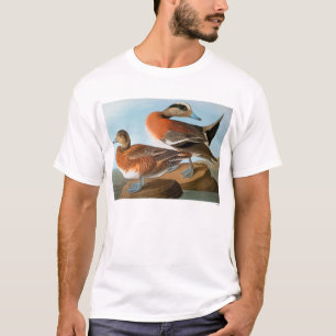 T-shirt Audubon : Canard siffleur