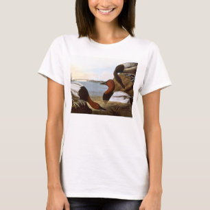 T-shirt Audubon : Canvasback