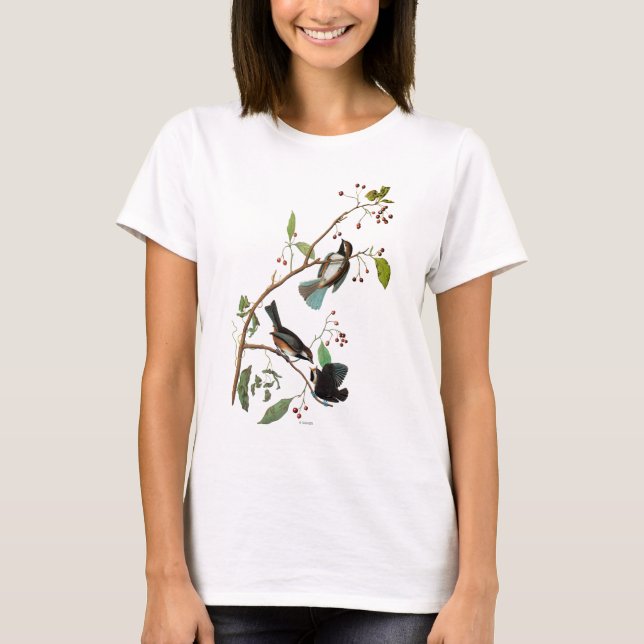 T-shirt Audubon : Chickadee (Devant)