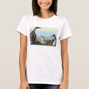 T-shirt Audubon : Dingue arctique