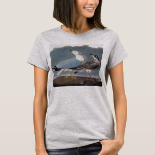 T-shirt Audubon : Goéland à anneaux