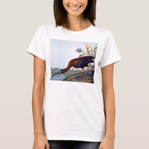 T-shirt Audubon : IBIS brillant