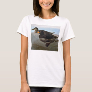 T-shirt Audubon : Macreuse noire