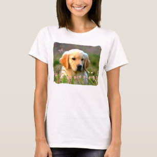 T-shirt Austin le Labrador d'or