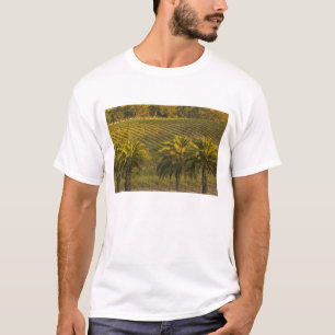 T-shirt Australie, Australie-Méridionale, Barossa Valley,