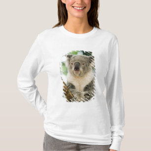 T-shirt Australie, Queensland, Brisbane, Fig Tree