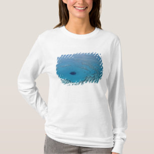 T-shirt Australie, Queensland. Grande barrière de corail