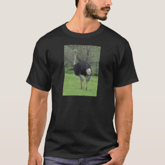 T-shirt Autruche