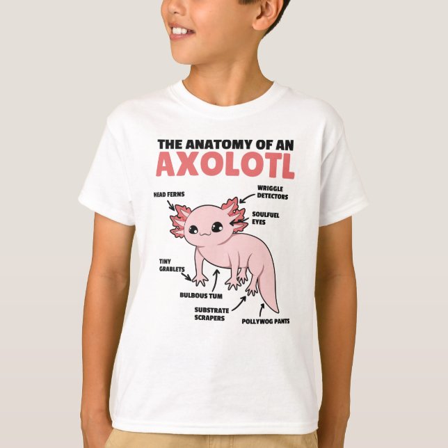 T-shirt Axolotl Explanation Anatomy Of An Axolotl (Devant)
