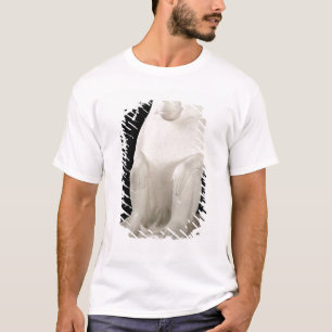 T-shirt Babouin, royaume moyen, probablement 7ème dynasti