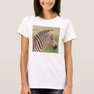 T-shirt Baby zebra head, Tanzania