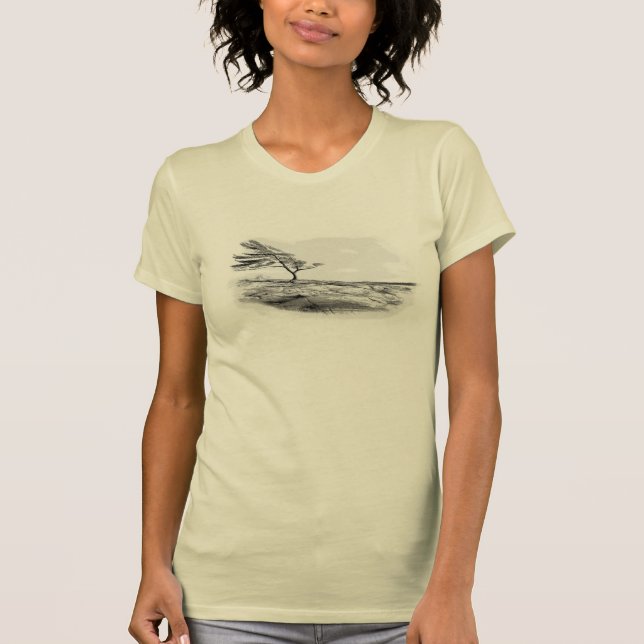 T-shirt Baie Pin-Géorgienne de Swep de vent (Devant)