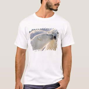 T-shirt Baiser de l'ours polaire